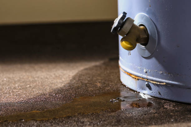 Best Sewage cleanup and water damage restoration  in Lockhart, TX